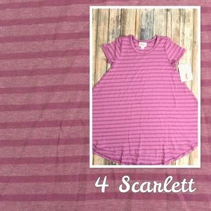 Size 4 LulaRoe Scarlett. NWT.